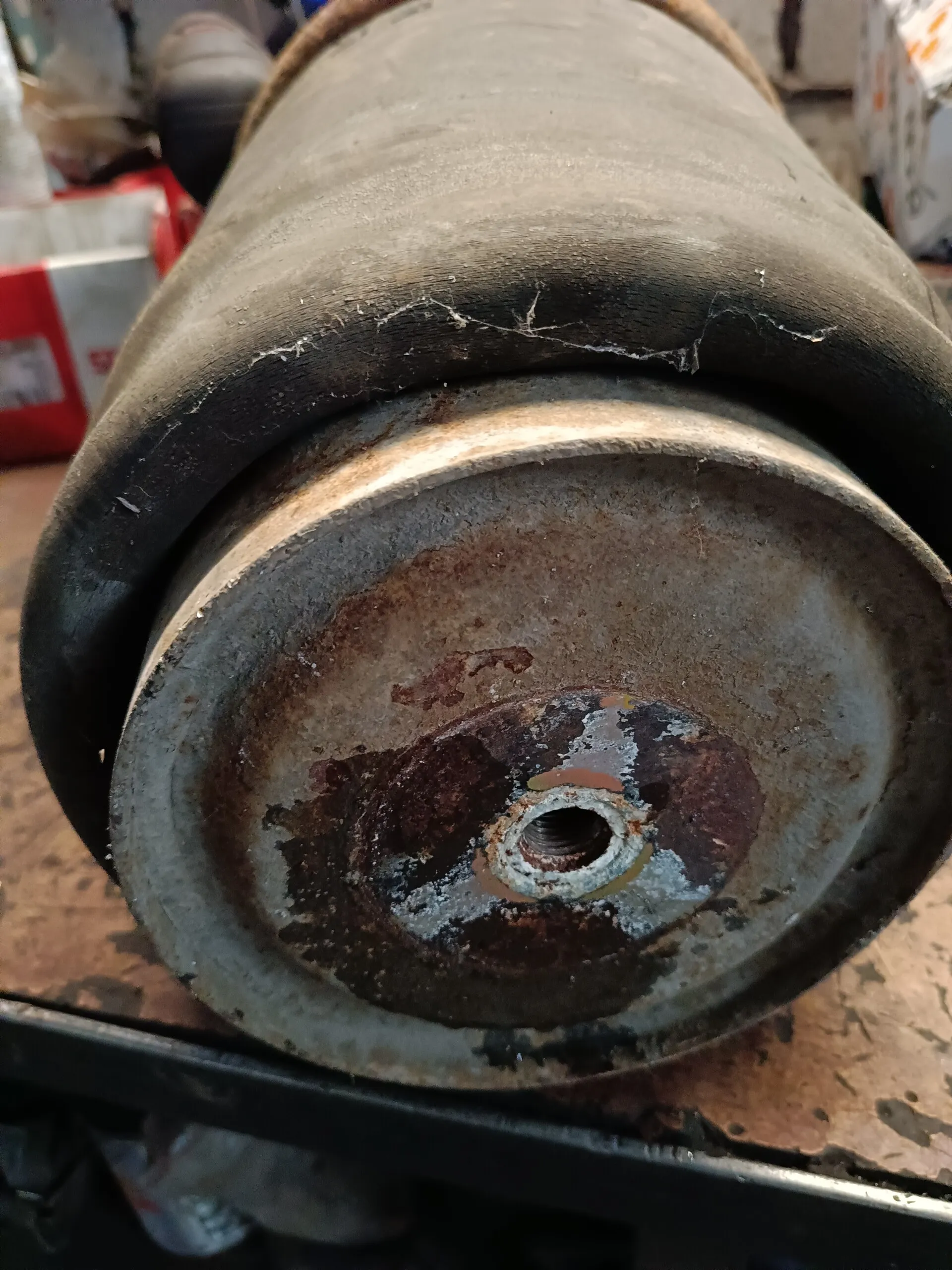 4882N1 пневмоподушка